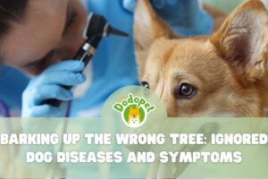 barking-up-the-wrong-tree-ignored-dog-diseases-and-symptoms-1