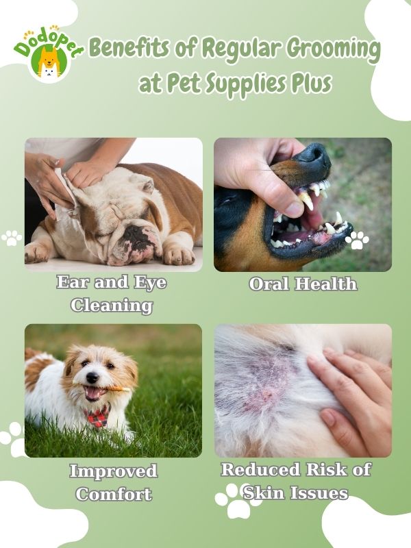 your-guide-to-pet-supplies-plus-grooming-tips-reviews-8