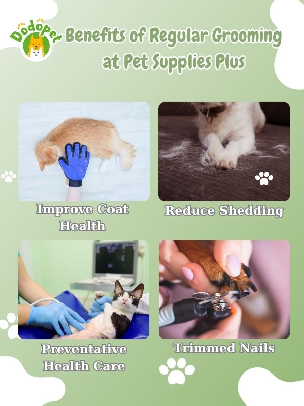 your-guide-to-pet-supplies-plus-grooming-tips-reviews-7