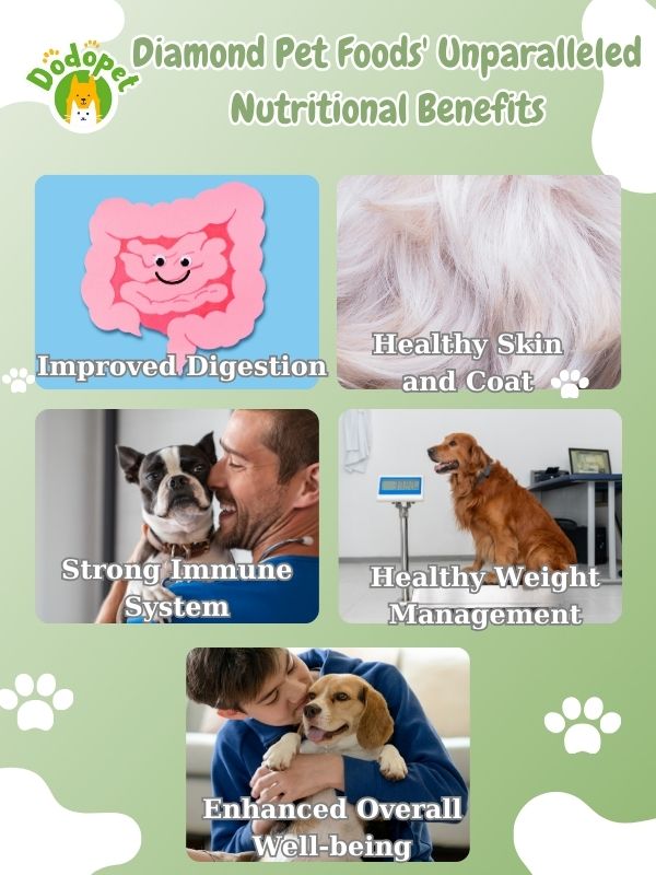 discover-the-secret-behind-diamond-pet-foods-unparalleled-nutritional-benefits-4