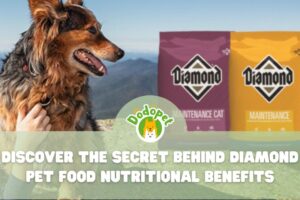 discover-the-secret-behind-diamond-pet-foods-unparalleled-nutritional-benefits-1