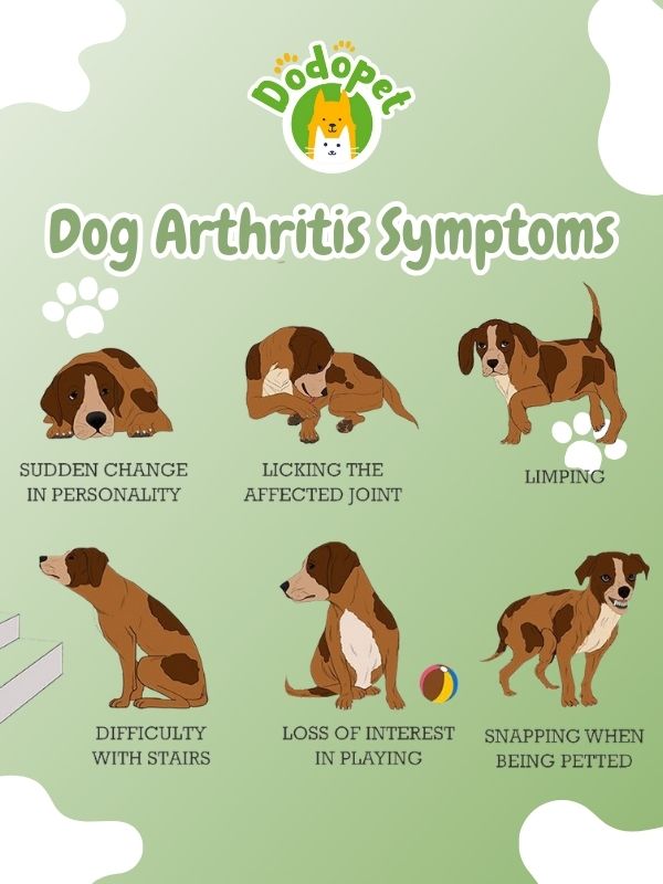 barking-up-the-wrong-tree-ignored-dog-diseases-and-symptoms-6