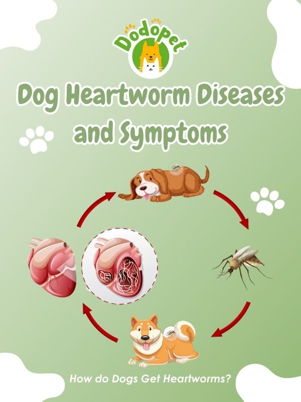 barking-up-the-wrong-tree-ignored-dog-diseases-and-symptoms-4