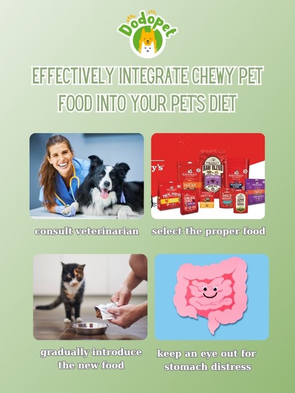 chewy-pet-food-the-secret-to-promoting-dental-health-for-your-furry-friend-5