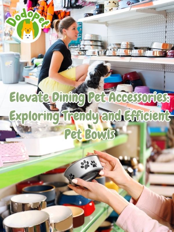 pet-accessories-the-guide-to-stylishness-and-functionality-2