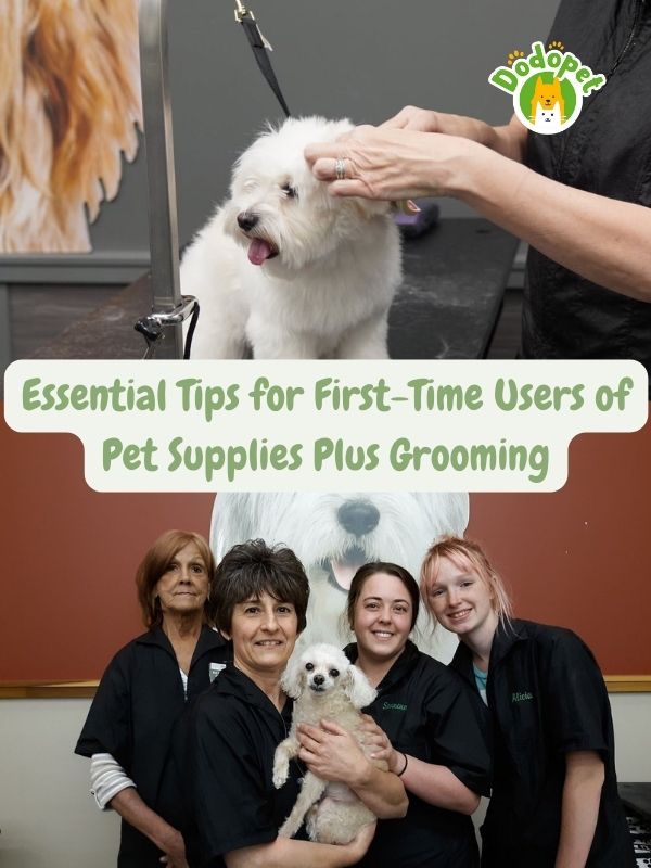 your-guide-to-pet-supplies-plus-grooming-tips-reviews-6