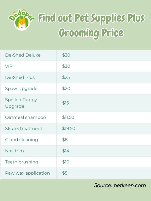 your-guide-to-pet-supplies-plus-grooming-tips-reviews-5