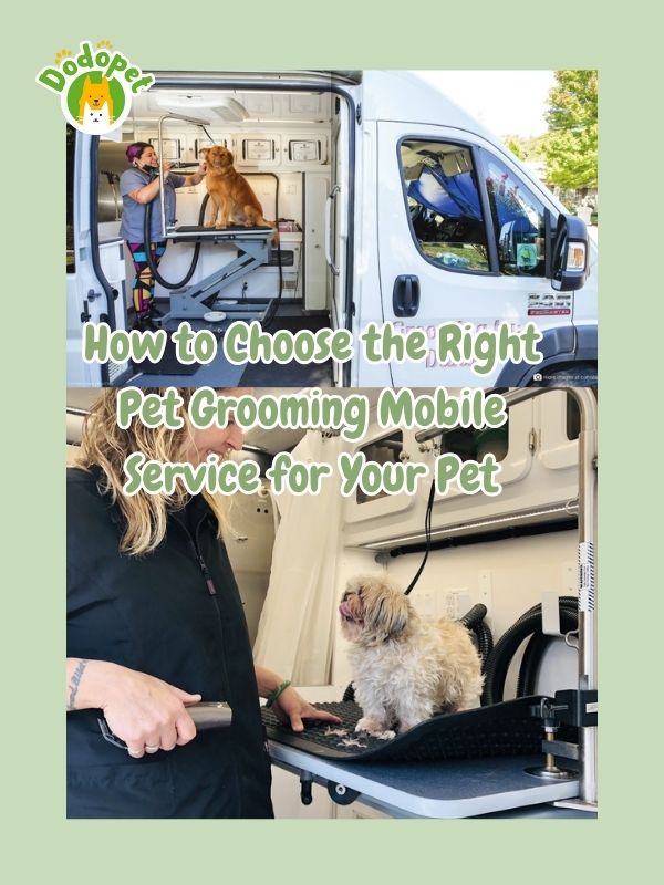 no-more-stressful-grooming-sessions-discover-the-benefits-of-pet-grooming-mobile-7