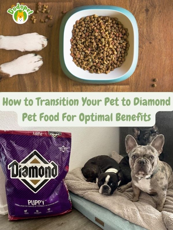 discover-the-secret-behind-diamond-pet-foods-unparalleled-nutritional-benefits-7