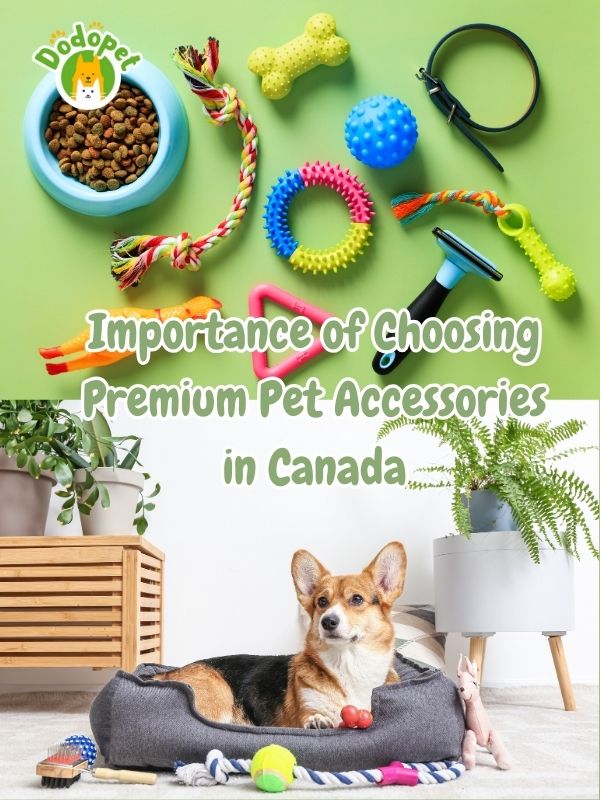 top-quality-pet-accessories-canada-premium-pet-supplies-3