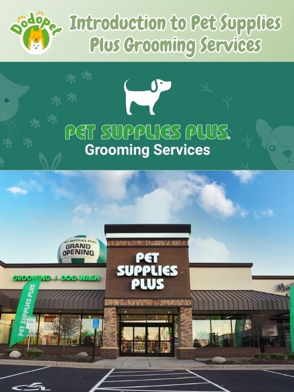 your-guide-to-pet-supplies-plus-grooming-tips-reviews-4