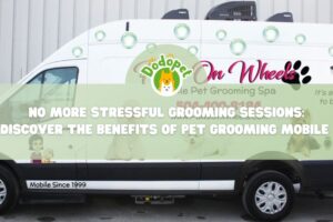 no-more-stressful-grooming-sessions-discover-the-benefits-of-pet-grooming-mobile-1