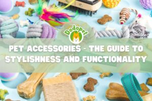 pet-accessories-the-guide-to-stylishness-and-functionality-1