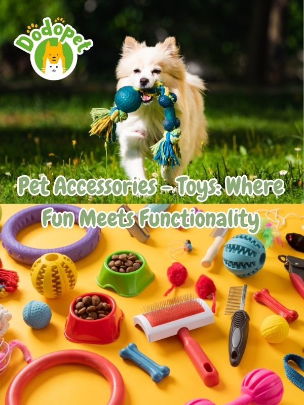 pet-accessories-the-guide-to-stylishness-and-functionality-4