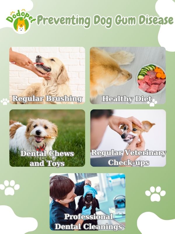 understanding-dog-gum-diseases-its-impact-on-canine-health-6