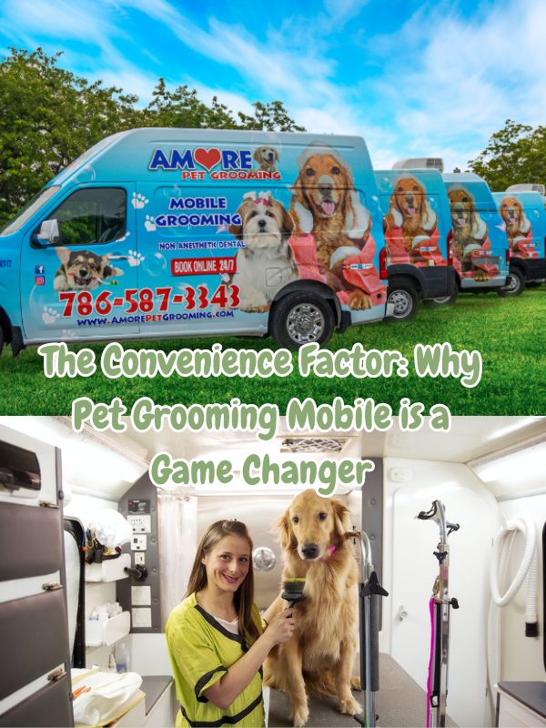 no-more-stressful-grooming-sessions-discover-the-benefits-of-pet-grooming-mobile-6