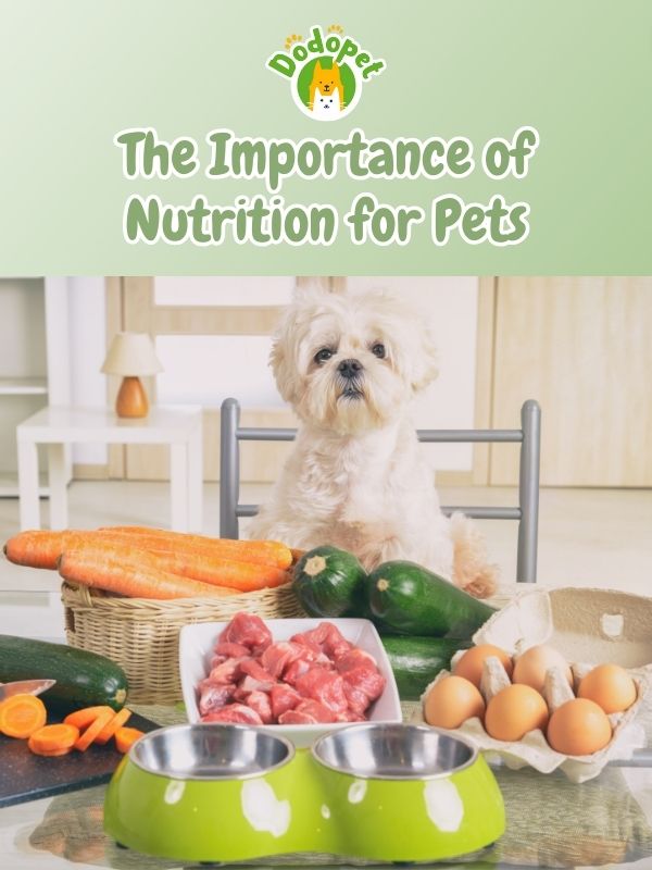 discover-the-secret-behind-diamond-pet-foods-unparalleled-nutritional-benefits-3