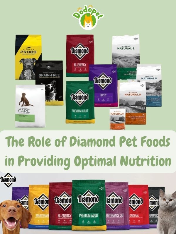 discover-the-secret-behind-diamond-pet-foods-unparalleled-nutritional-benefits-2