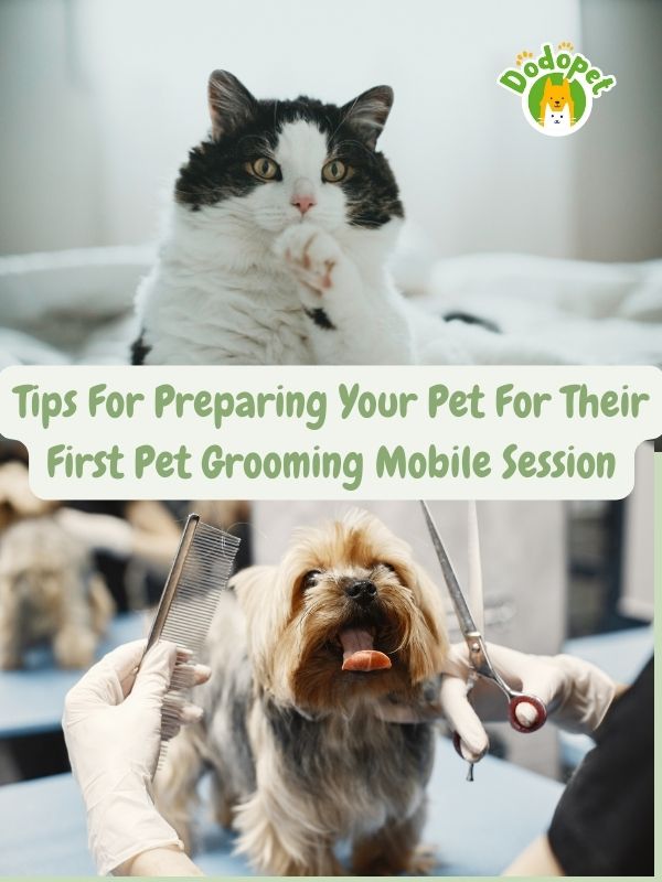 no-more-stressful-grooming-sessions-discover-the-benefits-of-pet-grooming-mobile-5