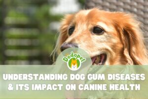 understanding-dog-gum-diseases-its-impact-on-canine-health-1