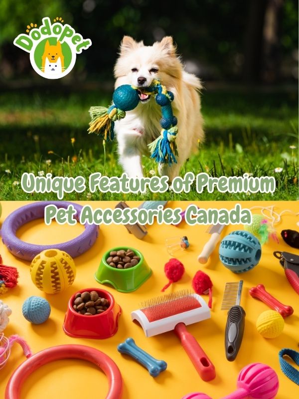 top-quality-pet-accessories-canada-premium-pet-supplies-2