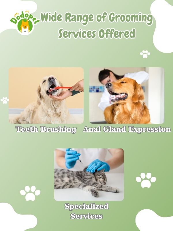 your-guide-to-pet-supplies-plus-grooming-tips-reviews-3