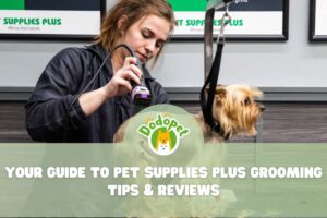 your-guide-to-pet-supplies-plus-grooming-tips-reviews-1