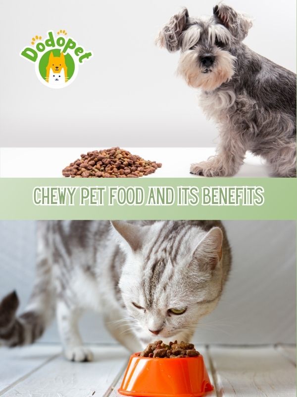 chewy-pet-food-the-secret-to-promoting-dental-health-for-your-furry-friend-2