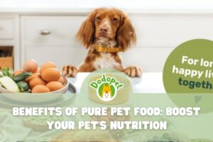 benefits-of-pure-pet-food-boost-your-pets-nutrition-7