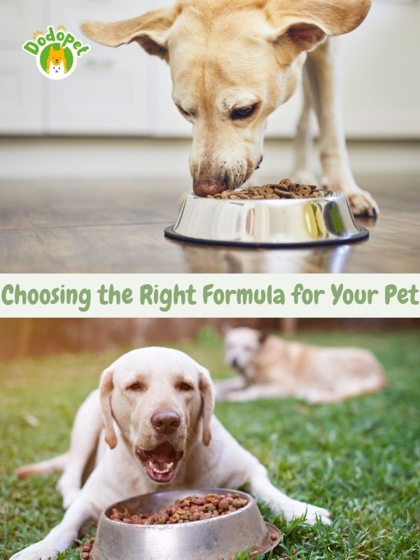 discover-hills-pet-food-key-to-happy-healthy-pets-2