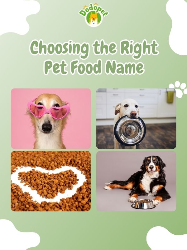 Pet-Food-Names-7