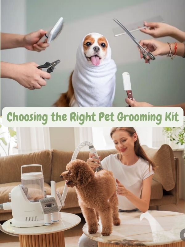 best-pet-grooming-kit-for-easy-stress-free-pampering-2