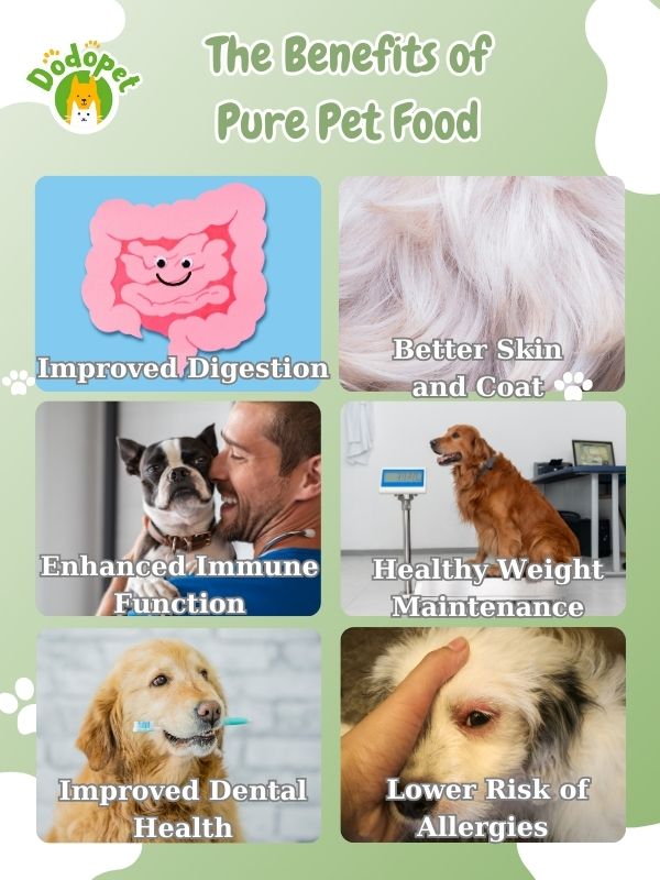benefits-of-pure-pet-food-boost-your-pets-nutrition-6