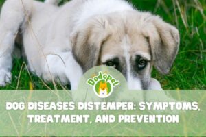 dog-diseases-distemper-1