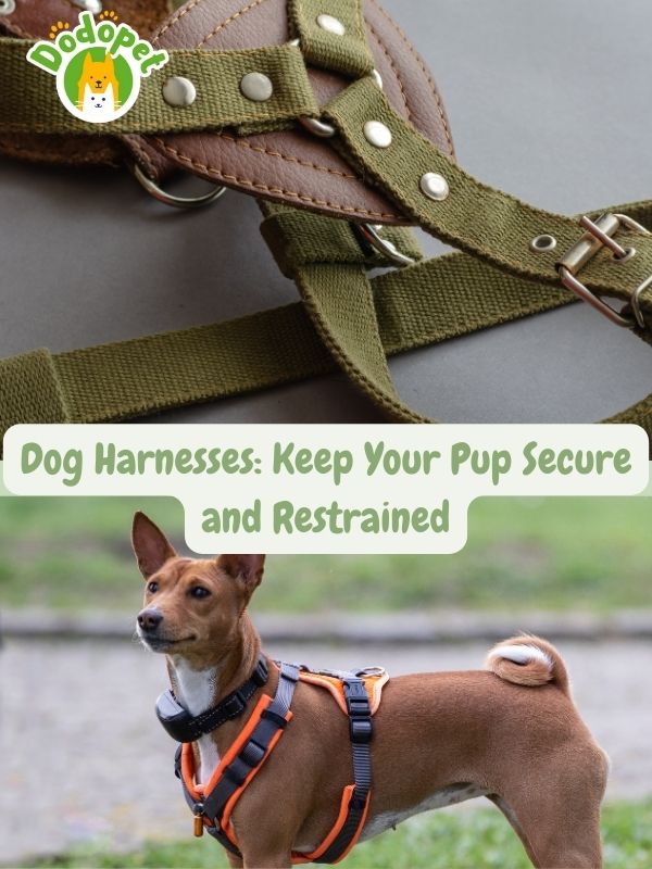 ultimate-guide-to-accessories-for-dogs-in-cars-tail-wagging-rides-6
