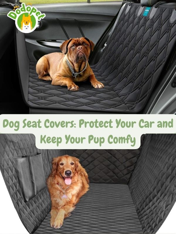 ultimate-guide-to-accessories-for-dogs-in-cars-tail-wagging-rides-5