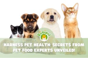 pet-food-experts-1