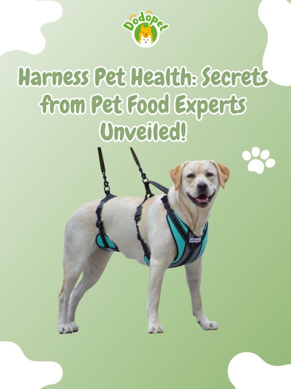 pet-food-experts-2