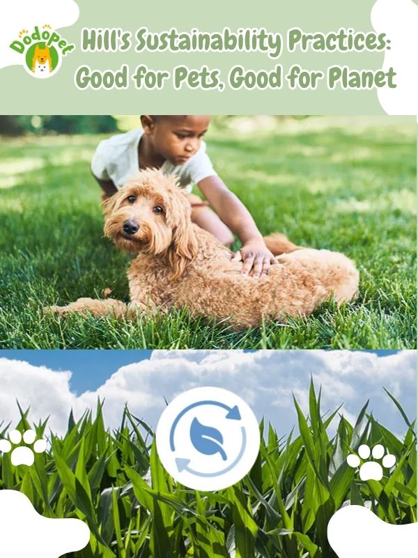 discover-hills-pet-food-key-to-happy-healthy-pets-4