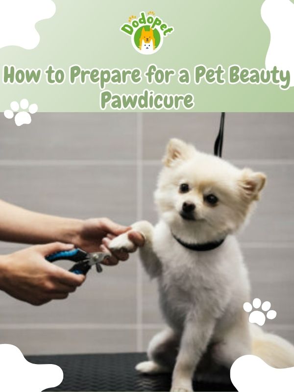 pet-pawdicures-for-pet-beauty-pretty-paws-whiskers-guide-2