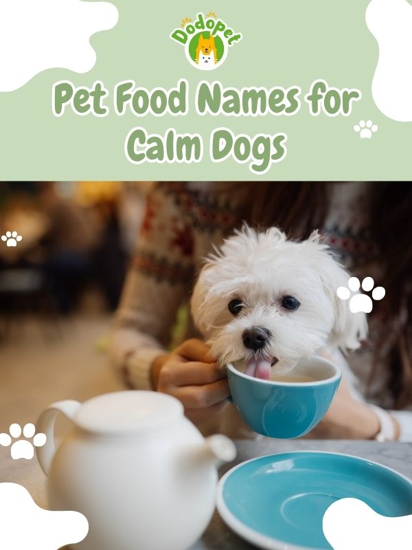 Pet-Food-Names-4