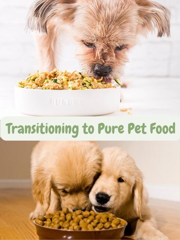 benefits-of-pure-pet-food-boost-your-pets-nutrition-5