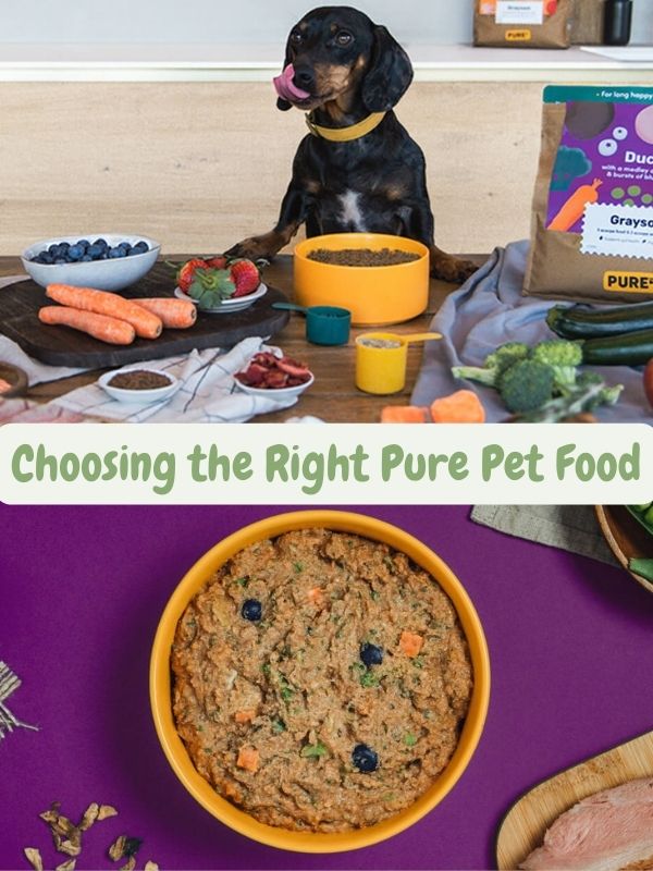 benefits-of-pure-pet-food-boost-your-pets-nutrition-4