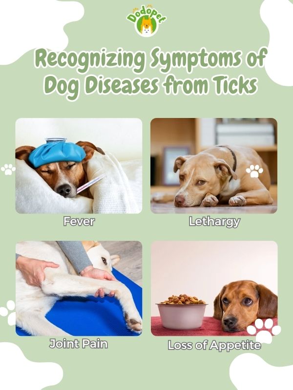 dog-diseases-from-ticks-5