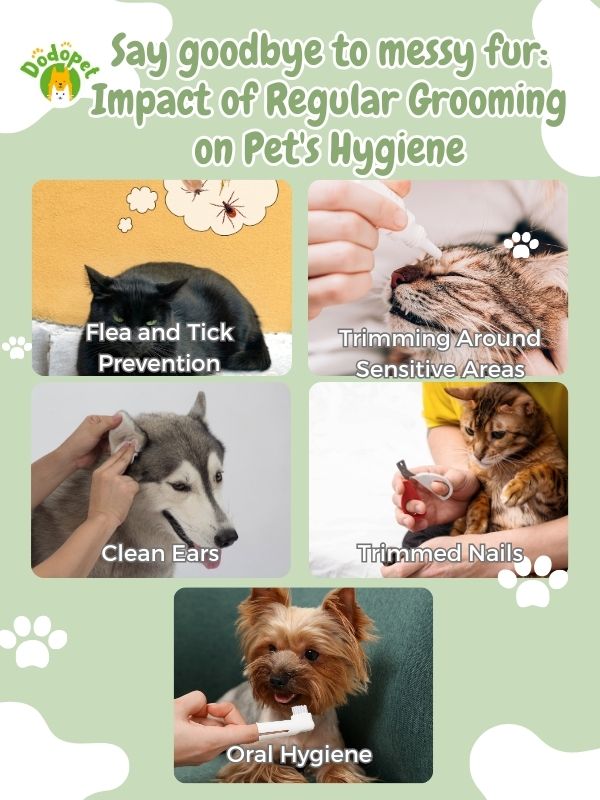 pet-grooming-home-service-3