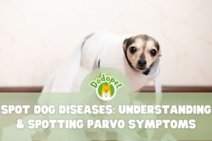 spot-dog-diseases-understanding-spotting-parvo-symptoms-1