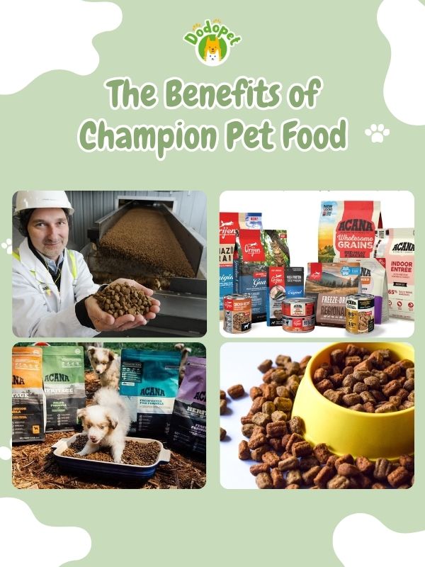 champion-pet-food-4