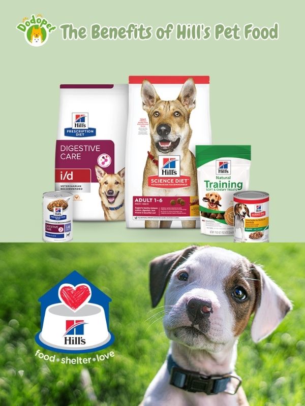 discover-hills-pet-food-key-to-happy-healthy-pets-5