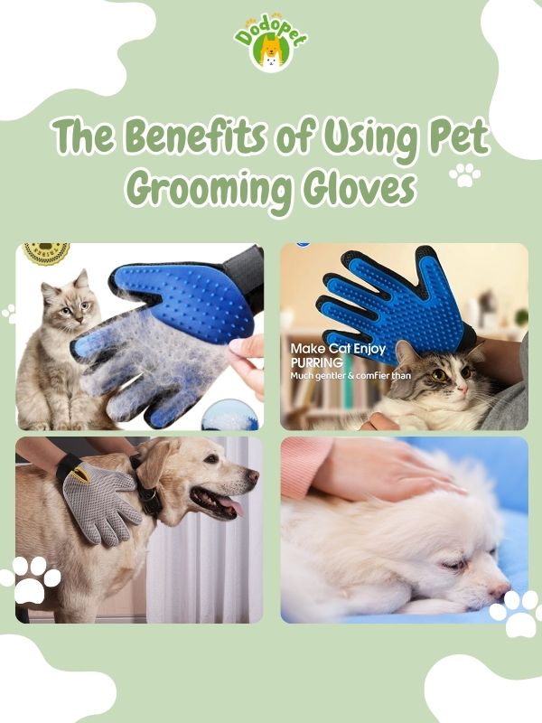 grooming-gloves-for pet-5
