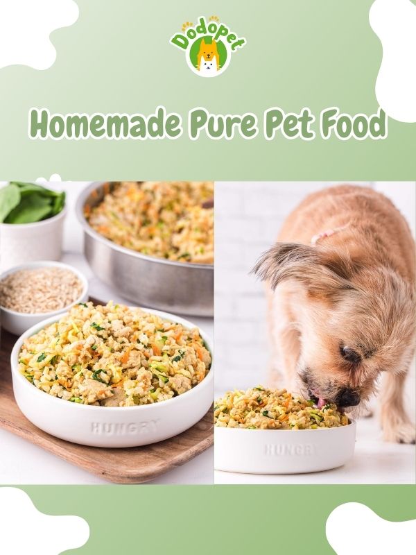 benefits-of-pure-pet-food-boost-your-pets-nutrition-2